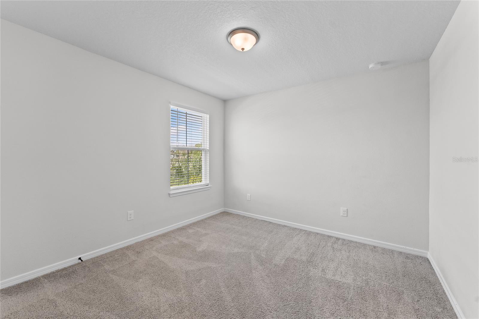 20602 MONZA LOOP, LAND O LAKES, FL, 34638