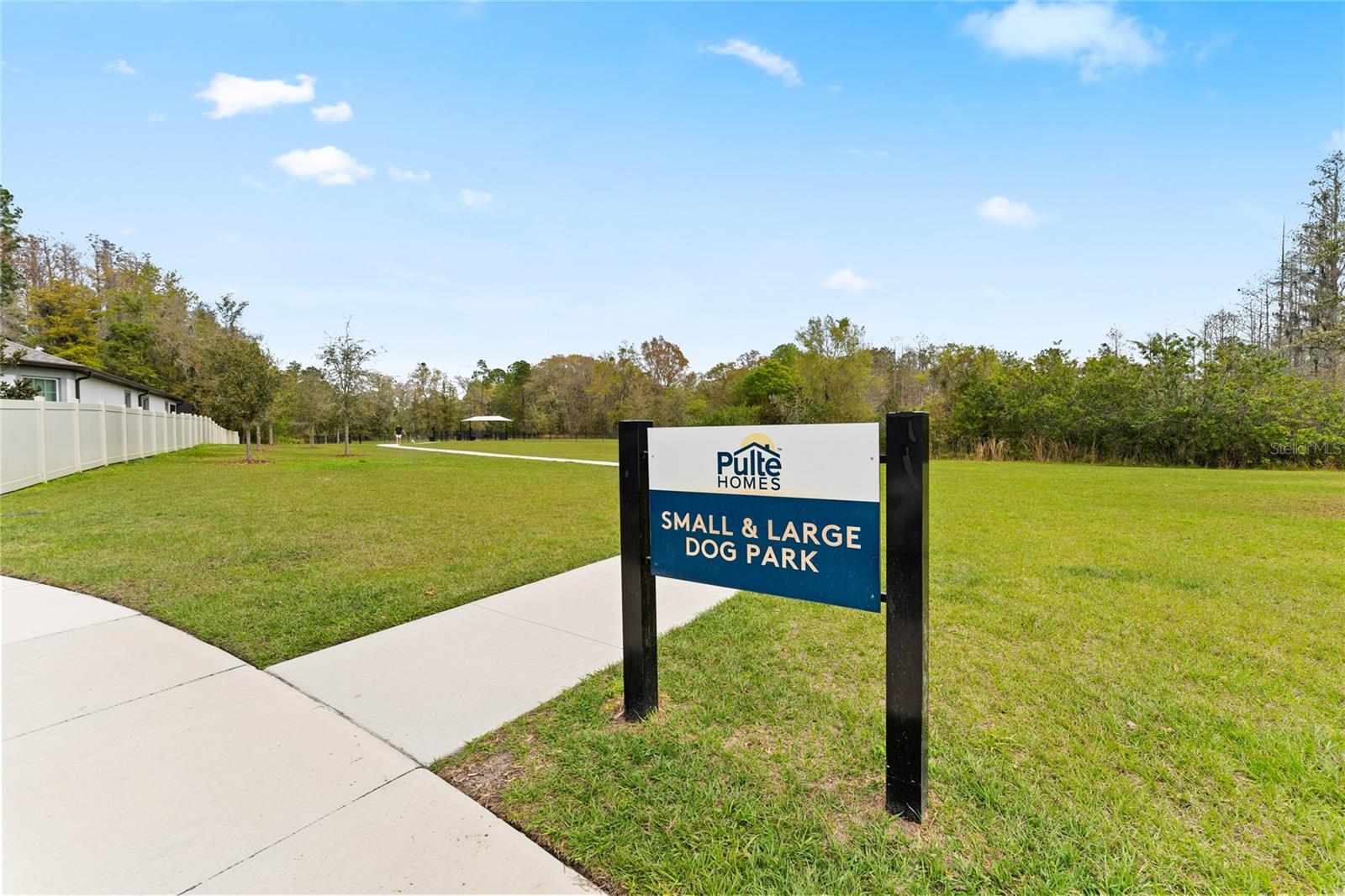 20602 MONZA LOOP, LAND O LAKES, FL, 34638