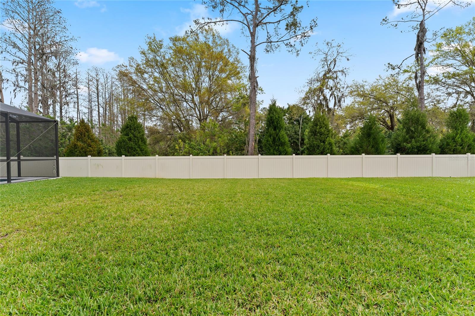 20602 MONZA LOOP, LAND O LAKES, FL, 34638