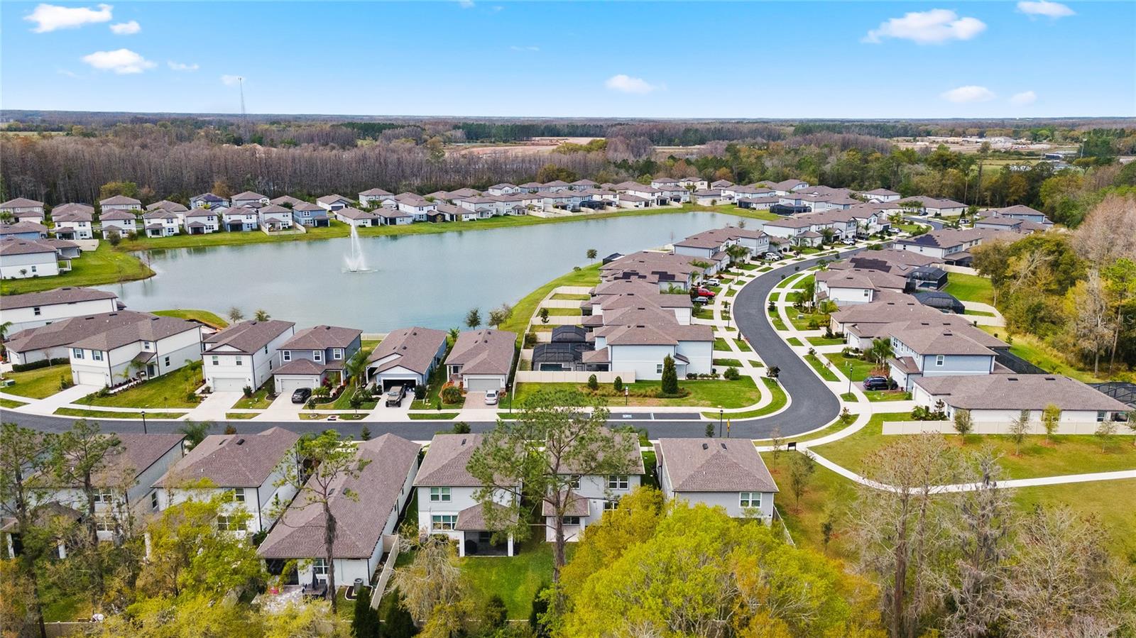 20602 MONZA LOOP, LAND O LAKES, FL, 34638