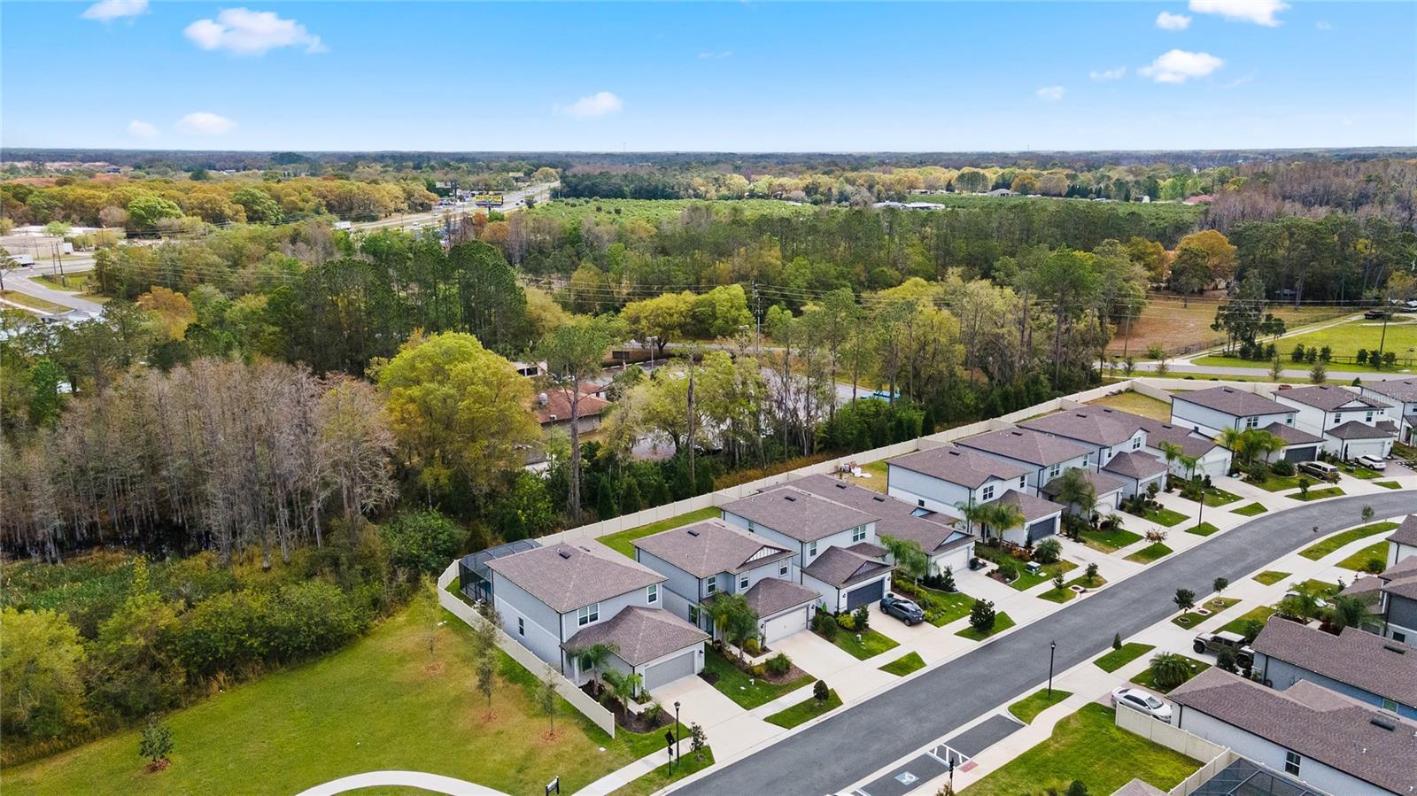 20602 MONZA LOOP, LAND O LAKES, FL, 34638