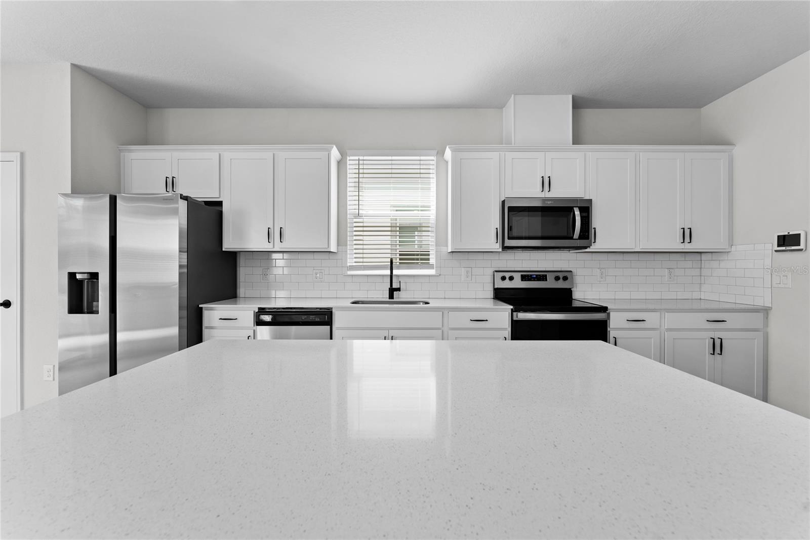 20602 MONZA LOOP, LAND O LAKES, FL, 34638