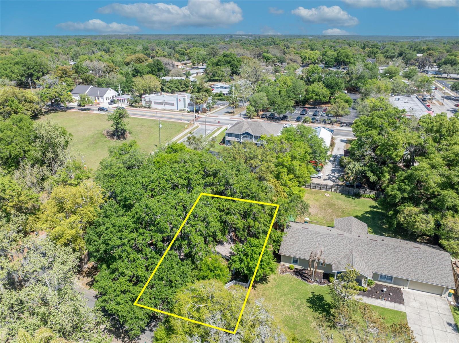 140 N JOHNS ST, MOUNT DORA, FL, 32757