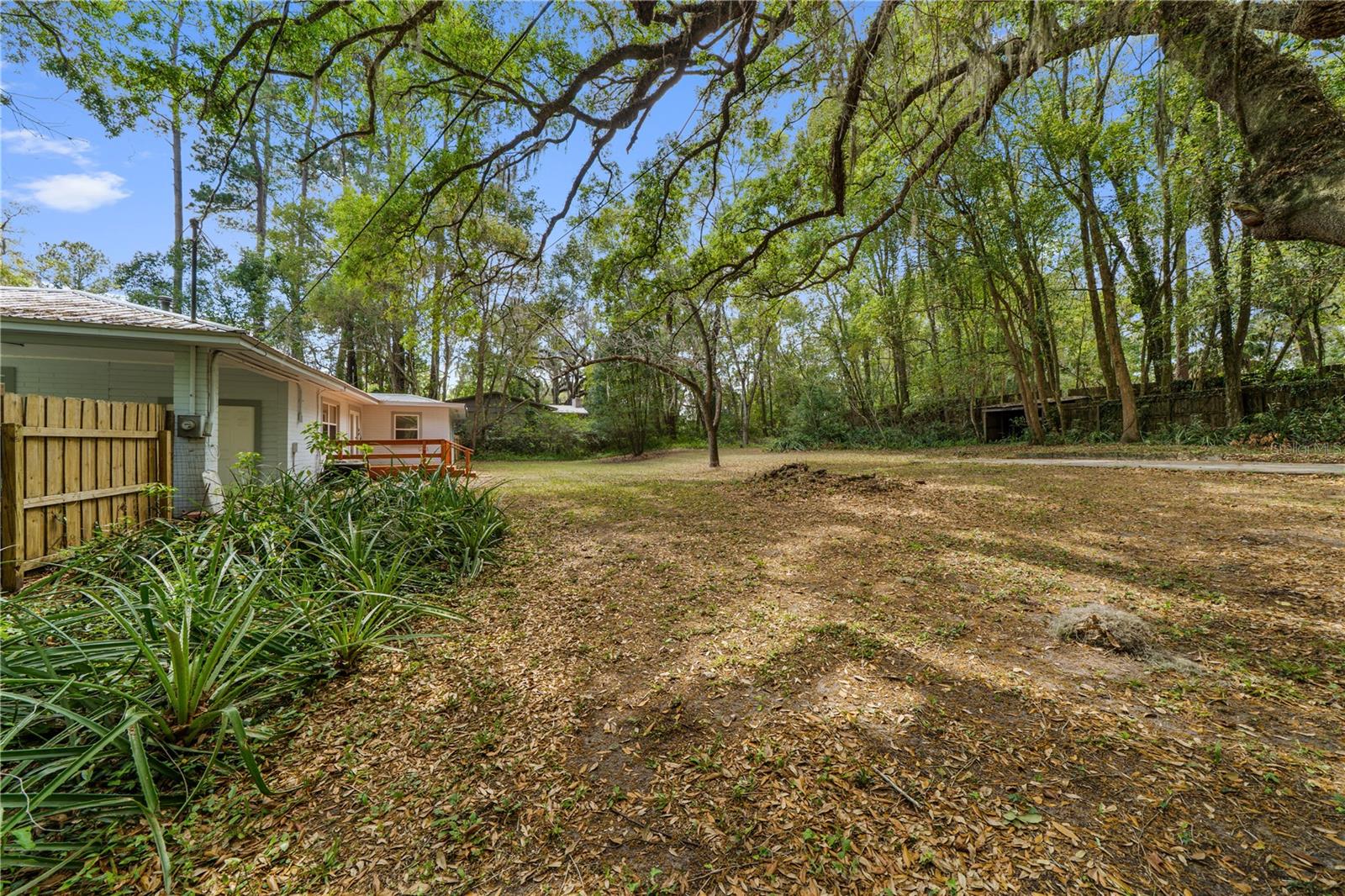 14618 NW 146 TER, ALACHUA, FL, 32615