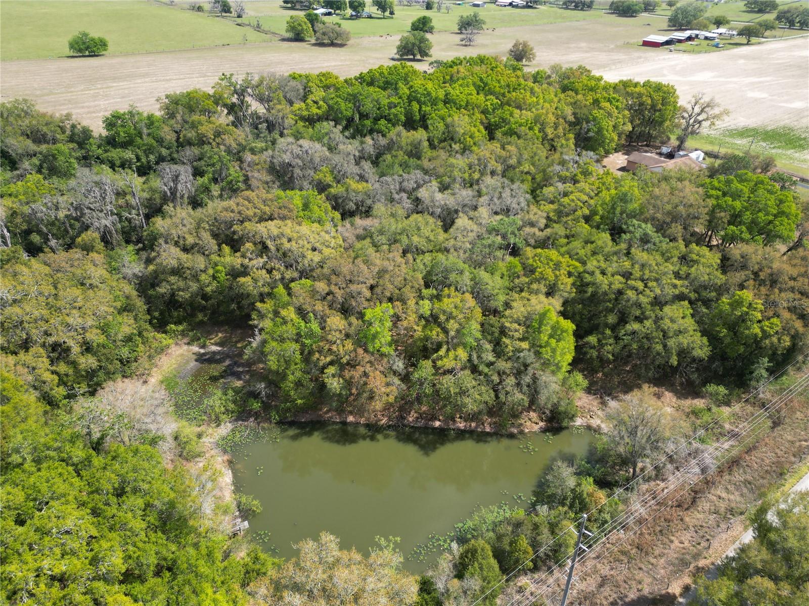 3095 COUNTY ROAD 202, OXFORD, FL, 34484