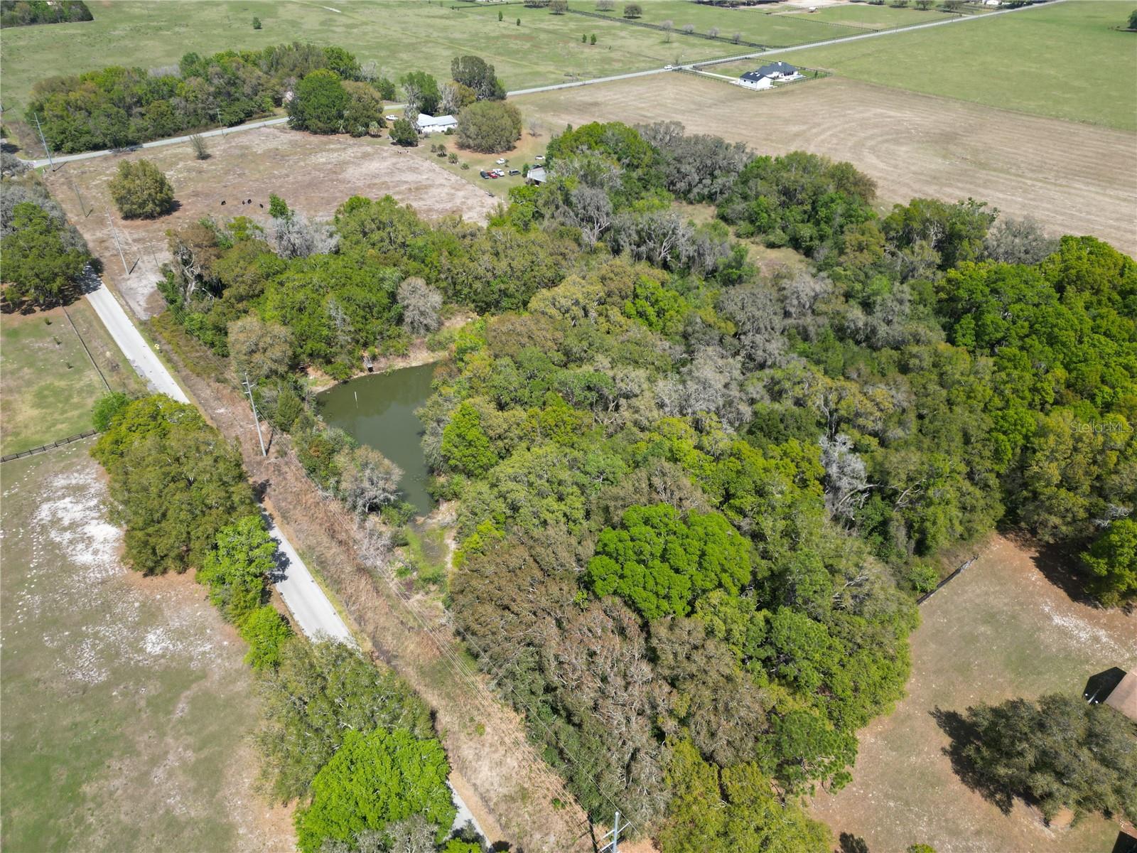 3095 COUNTY ROAD 202, OXFORD, FL, 34484