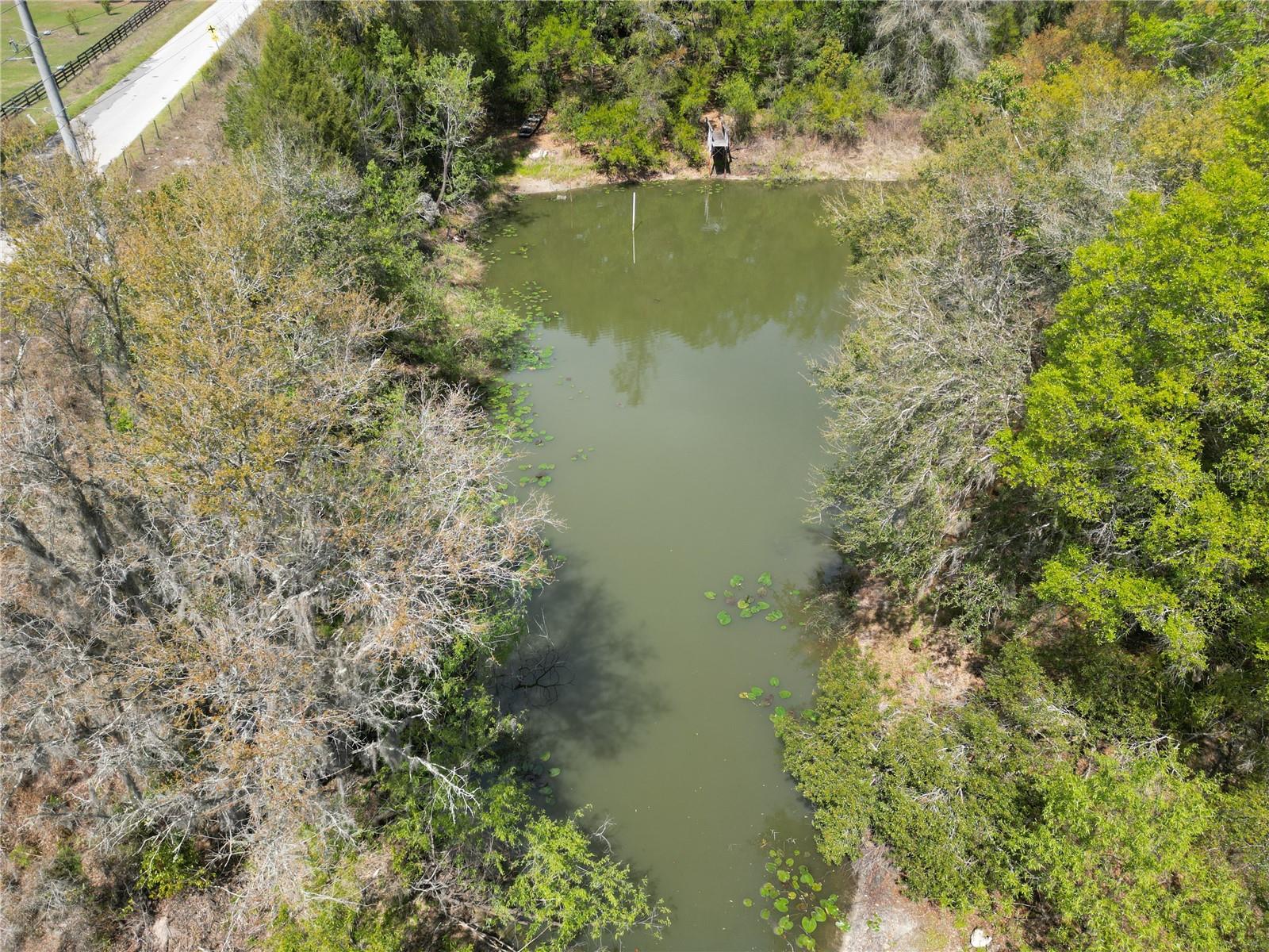 3095 COUNTY ROAD 202, OXFORD, FL, 34484