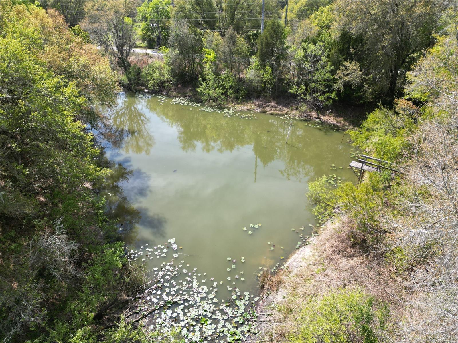3095 COUNTY ROAD 202, OXFORD, FL, 34484