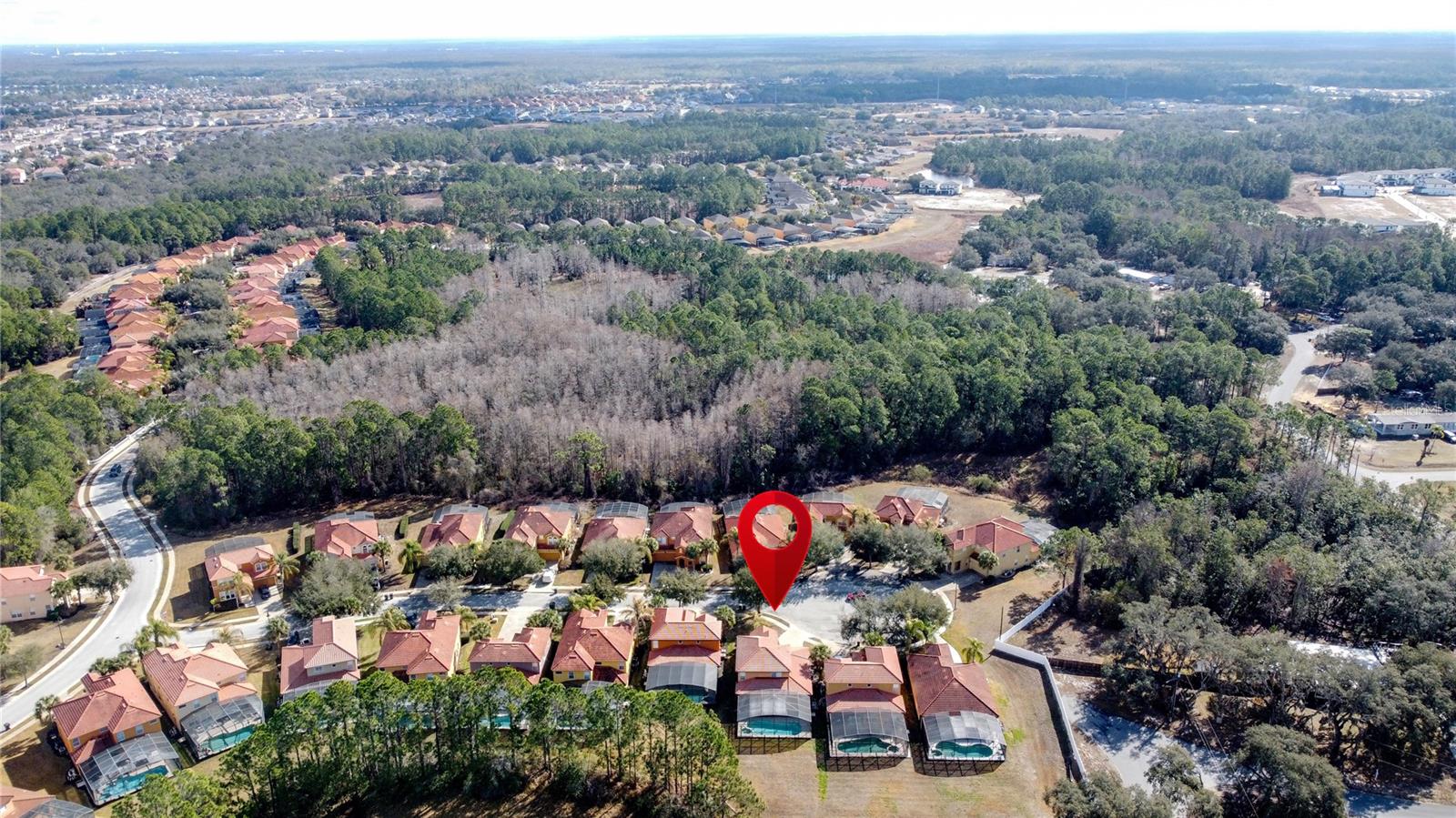 163 TIGERLILY CT, DAVENPORT, FL, 33837