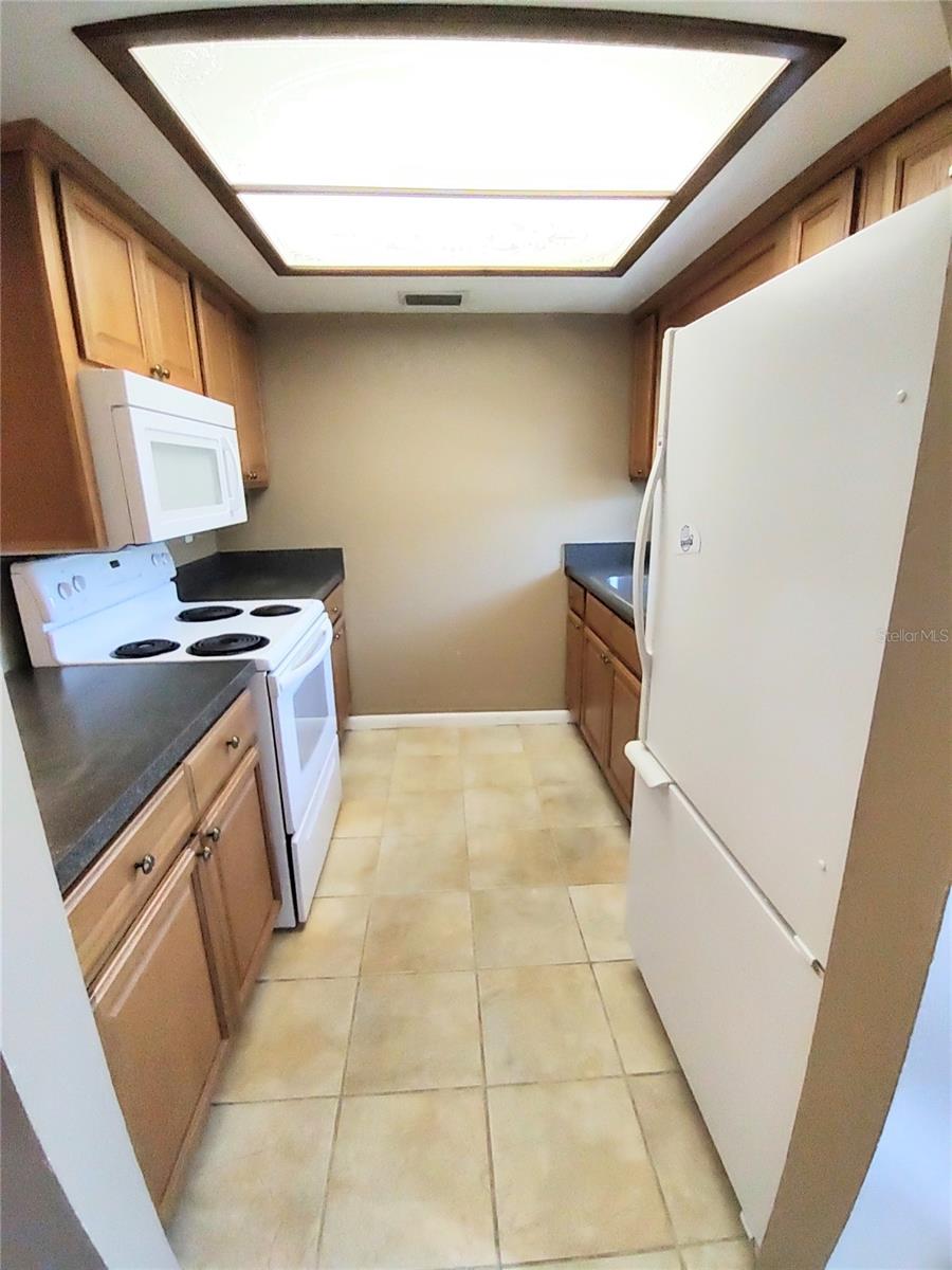 EASTFIELD SLOPES A CONDO, THONOTOSASSA, FL, 33592