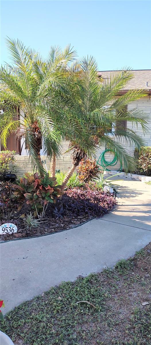EASTFIELD SLOPES A CONDO, THONOTOSASSA, FL, 33592