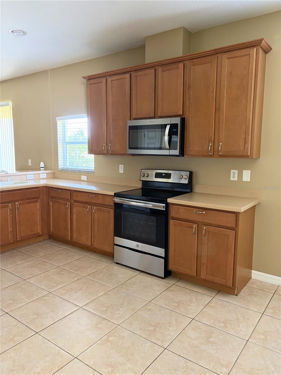7514 DRAGON FLY LOOP, GIBSONTON, FL, 33534