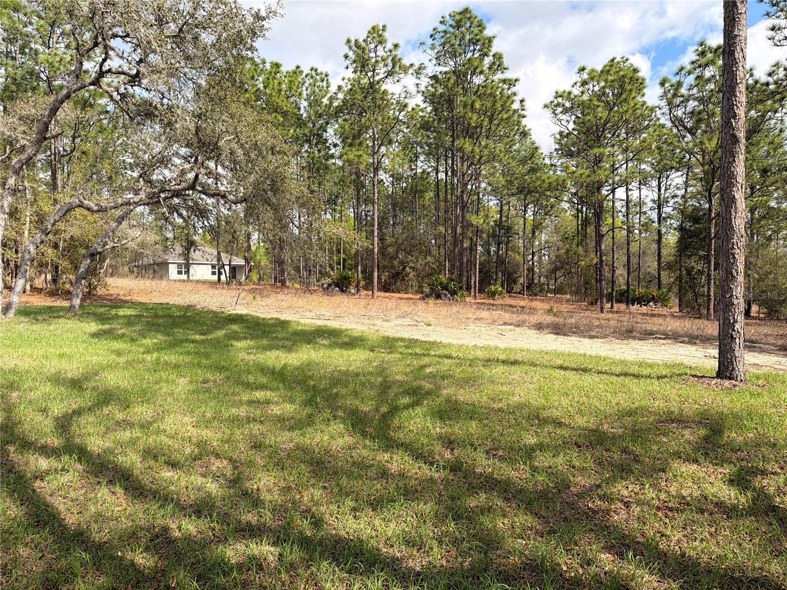 11527 N CONDOR DR, DUNNELLON, FL, 34433