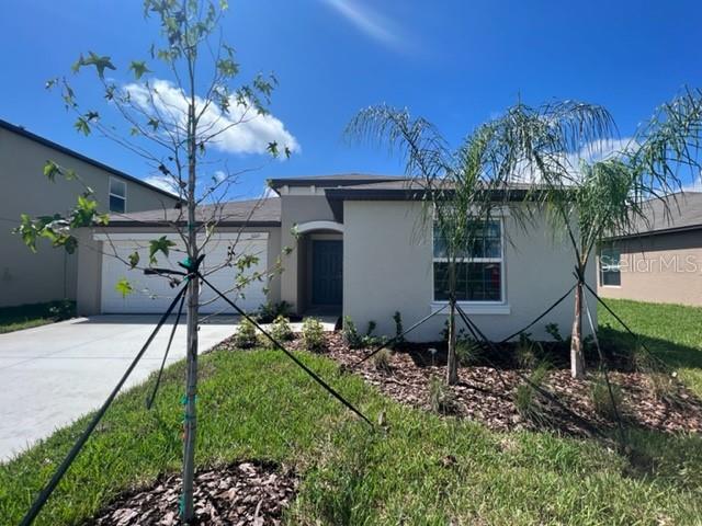 11517 LAVENDER LOOP, SPRING HILL, FL, 34609