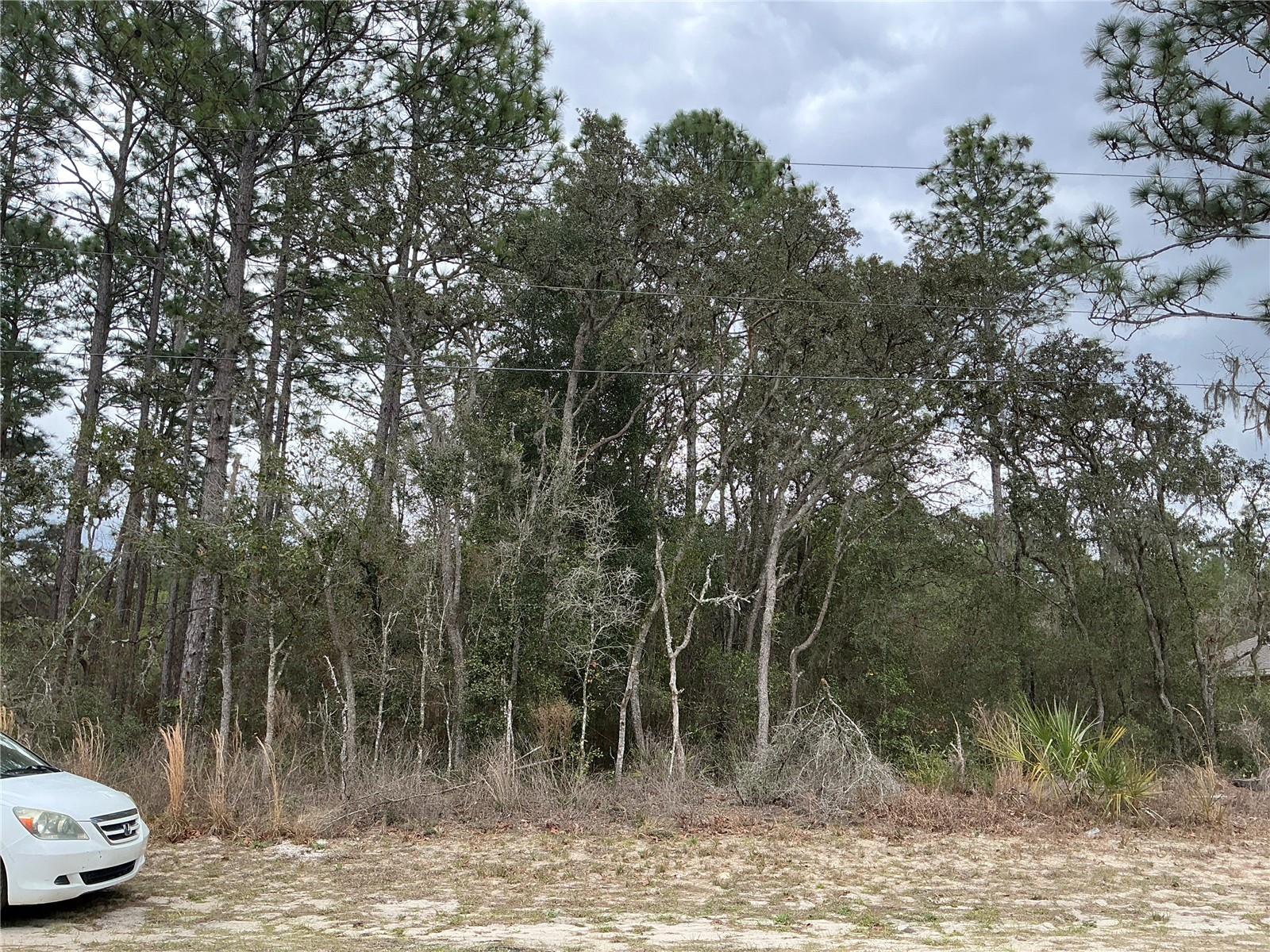 SW 79TH TER, OCALA, FL, 34473
