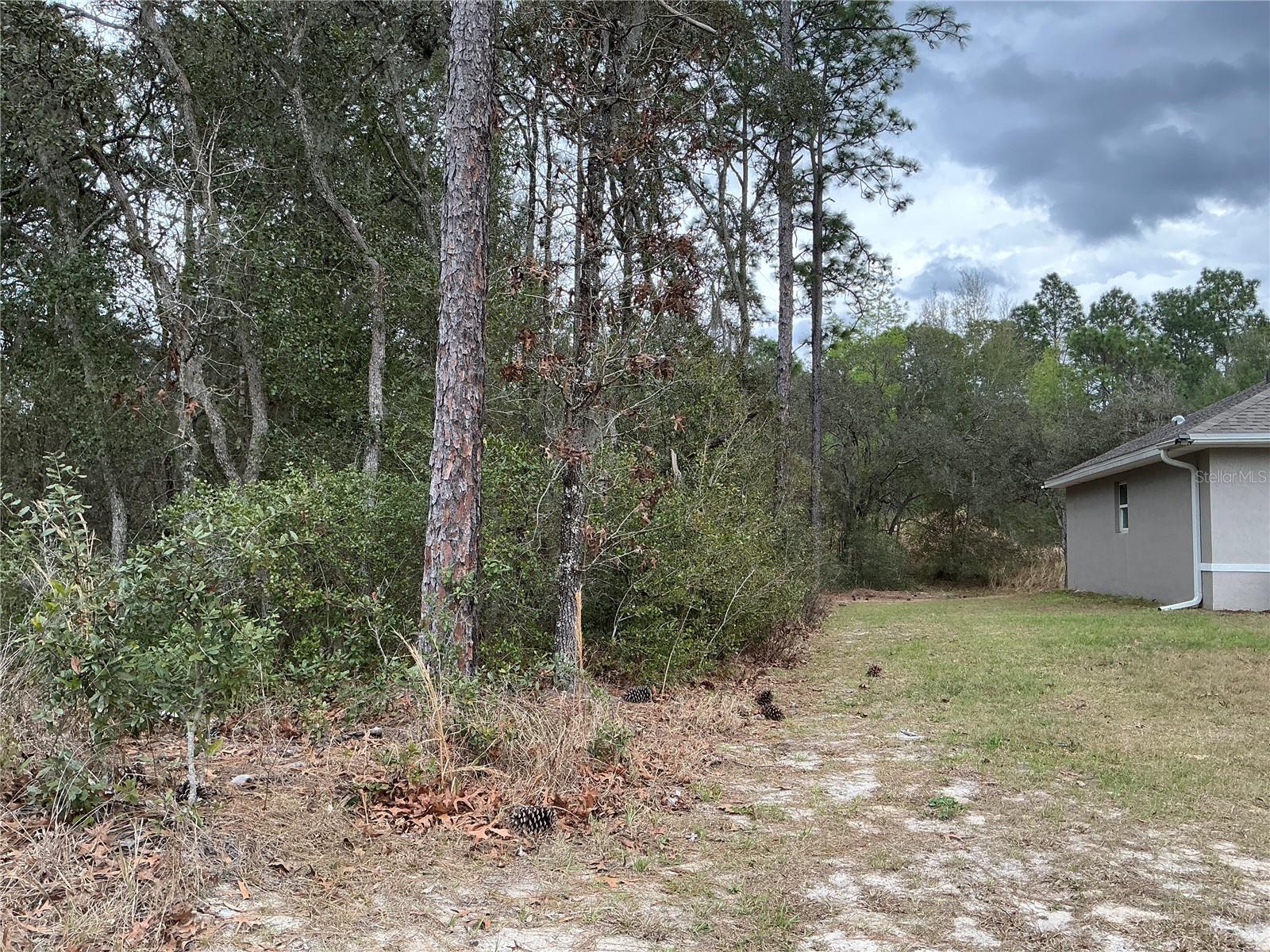 SW 79TH TER, OCALA, FL, 34473
