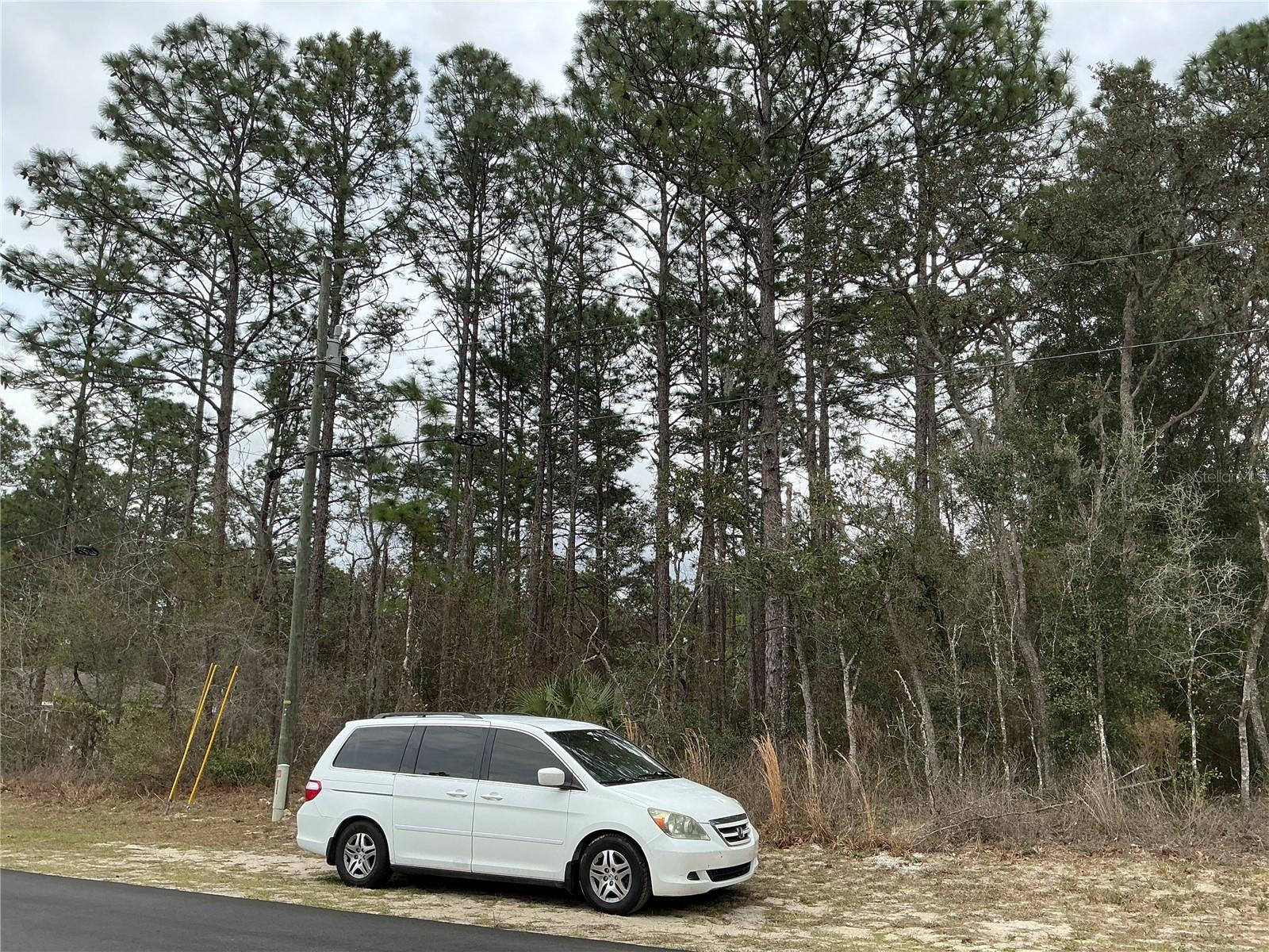 SW 79TH TER, OCALA, FL, 34473