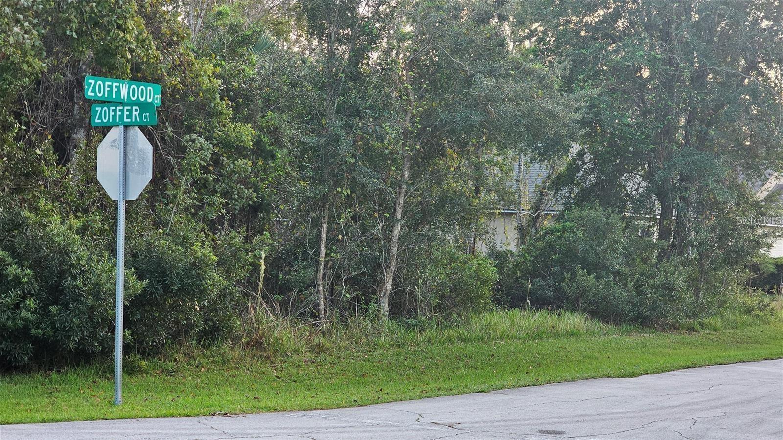1 ZOFFWOOD CT, PALM COAST, FL, 32164