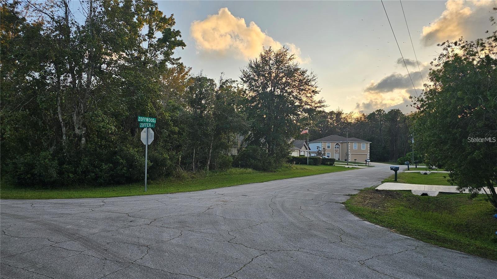 1 ZOFFWOOD CT, PALM COAST, FL, 32164