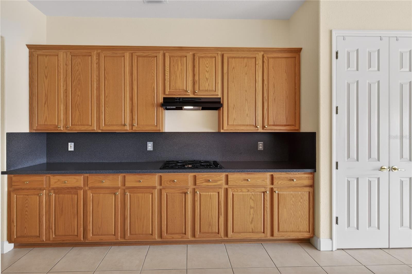 12463 SE 93RD COURT RD, SUMMERFIELD, FL, 34491