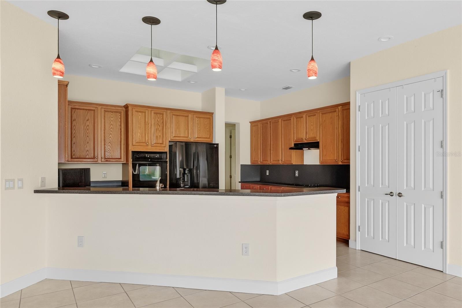 12463 SE 93RD COURT RD, SUMMERFIELD, FL, 34491