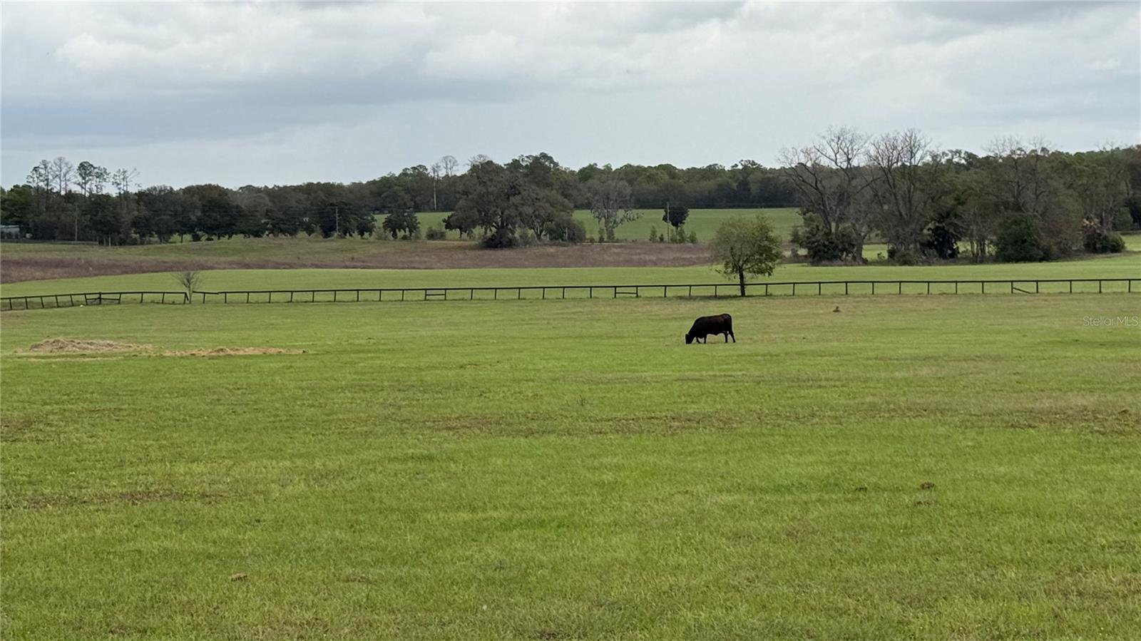 2700 SW 210TH AVE, DUNNELLON, FL, 34431