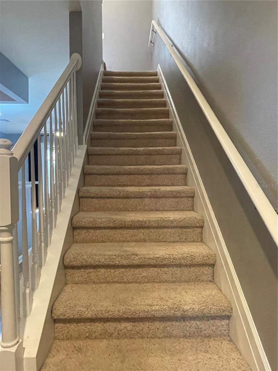 10212 WESTPARK PRESERVE BLVD, TAMPA, FL, 33625