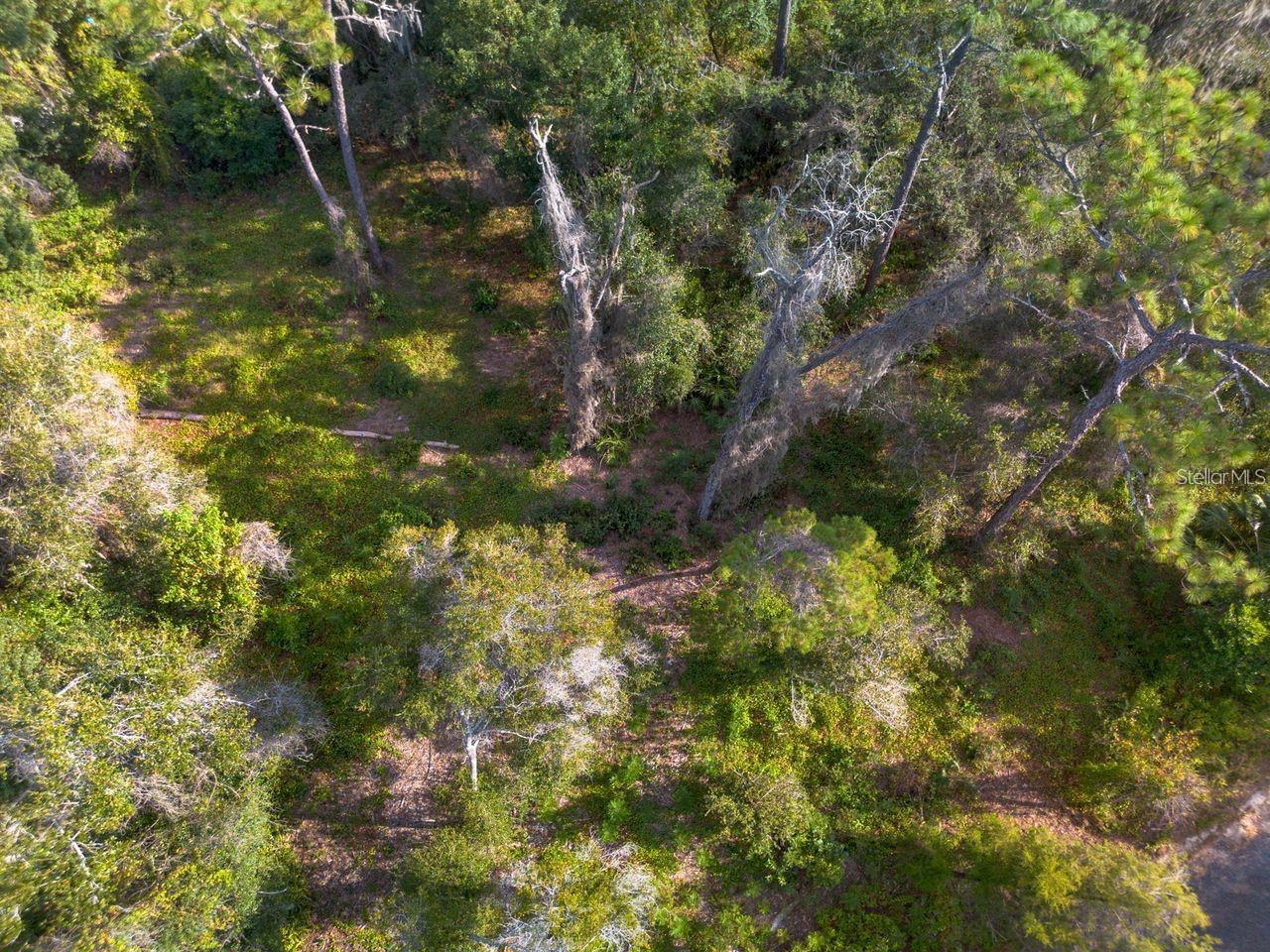 0000 LAKE BUTLER AVE, OSTEEN, FL, 32764