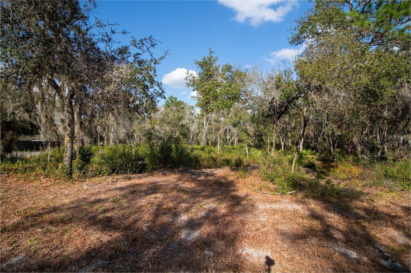 0000 LAKE BUTLER AVE, OSTEEN, FL, 32764