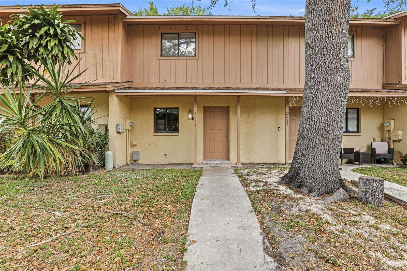 3919 PINE LIMB CT, TAMPA, FL, 33614