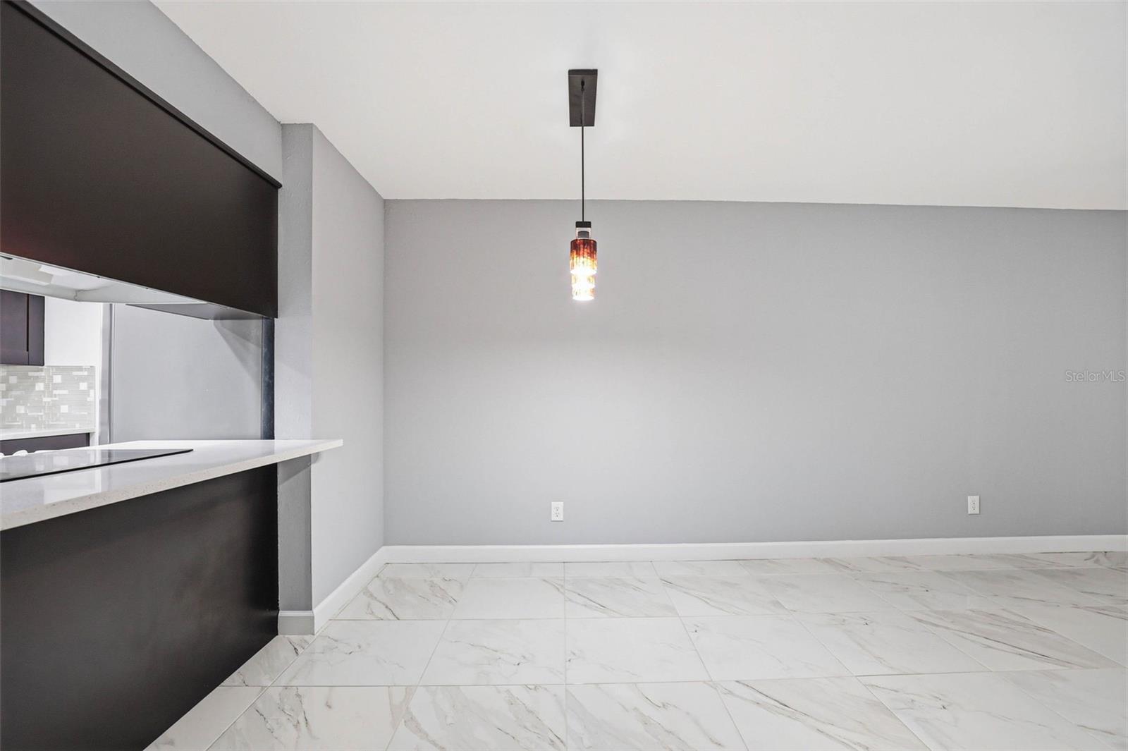 3919 PINE LIMB CT, TAMPA, FL, 33614