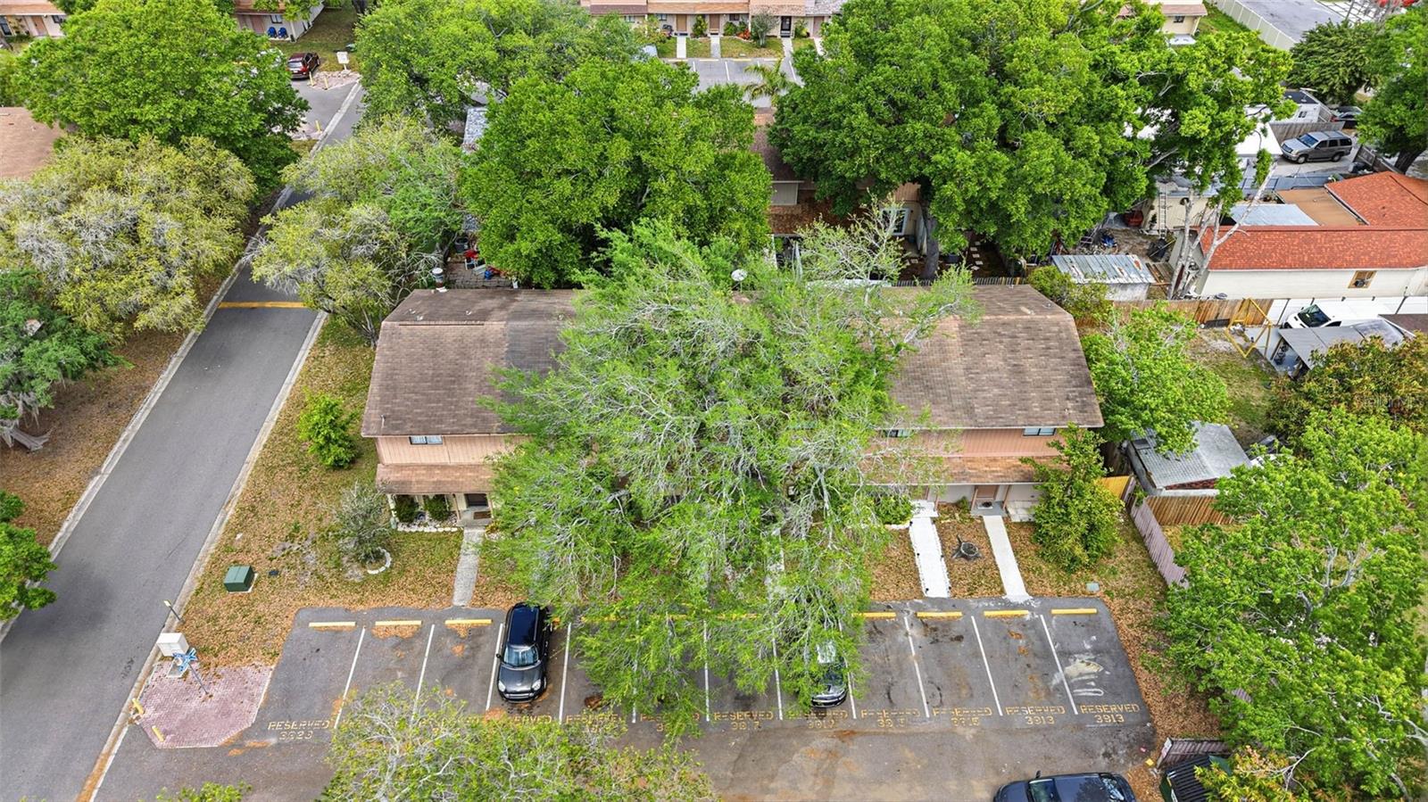 3919 PINE LIMB CT, TAMPA, FL, 33614