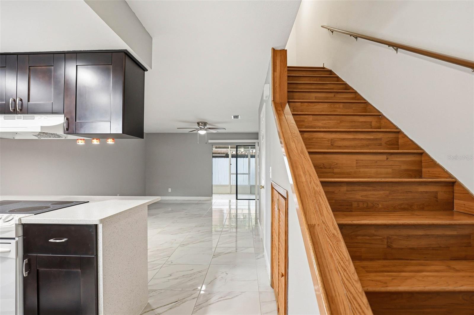 3919 PINE LIMB CT, TAMPA, FL, 33614