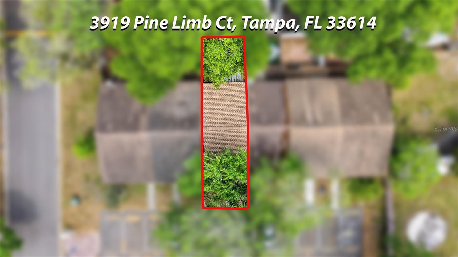 3919 PINE LIMB CT, TAMPA, FL, 33614