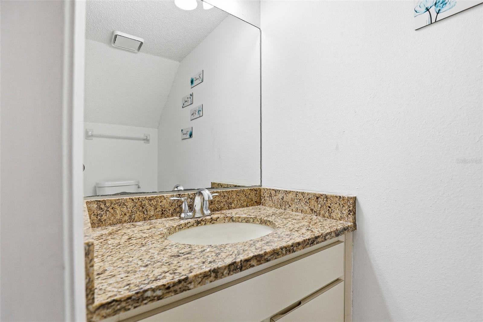 3919 PINE LIMB CT, TAMPA, FL, 33614
