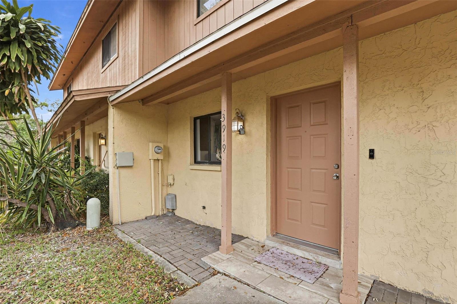 3919 PINE LIMB CT, TAMPA, FL, 33614