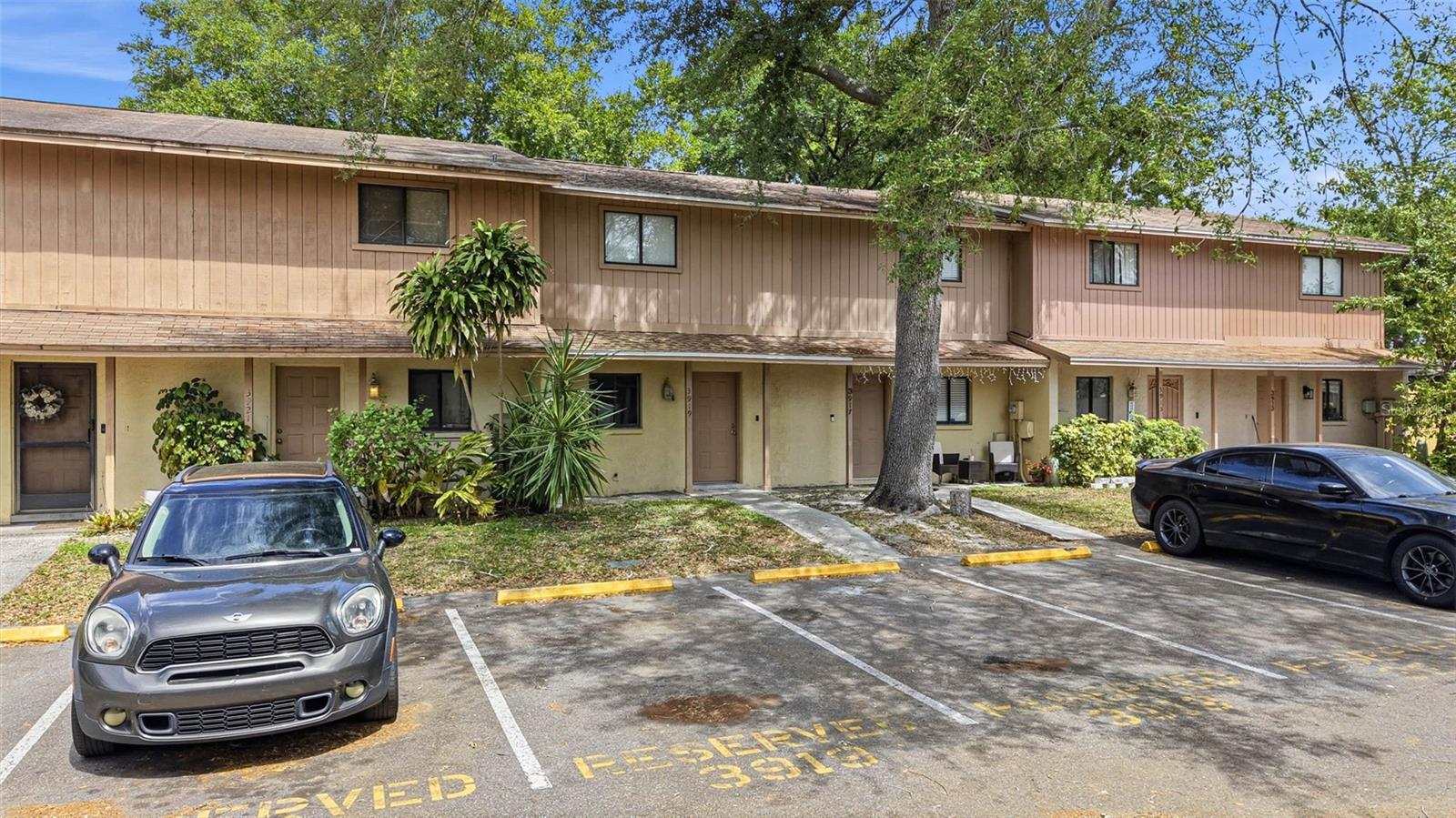3919 PINE LIMB CT, TAMPA, FL, 33614
