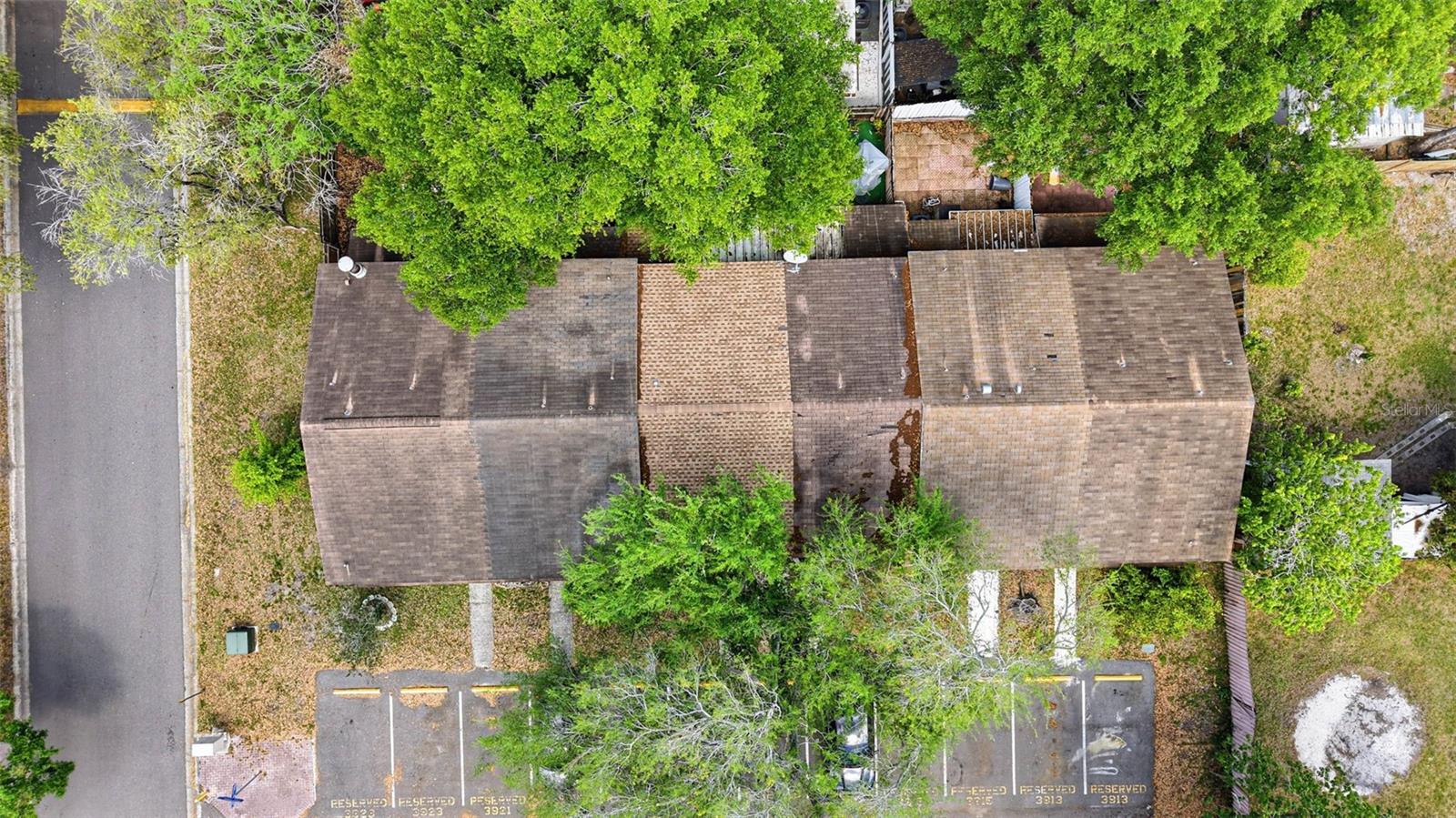 3919 PINE LIMB CT, TAMPA, FL, 33614