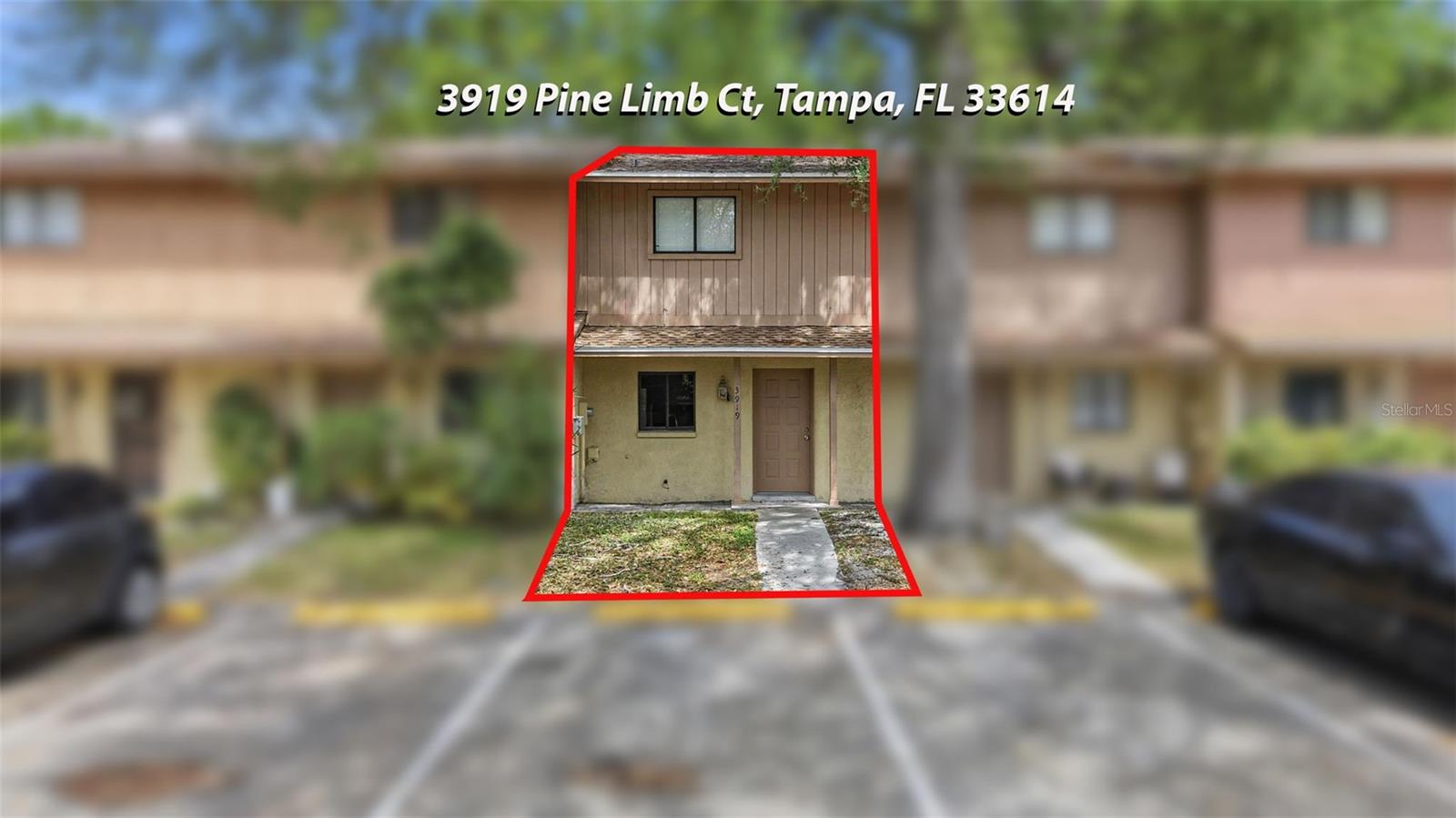 3919 PINE LIMB CT, TAMPA, FL, 33614