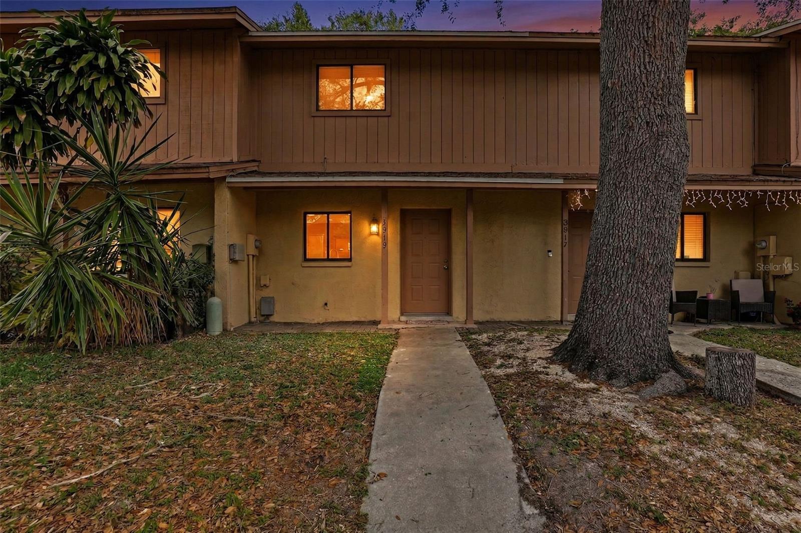 3919 PINE LIMB CT, TAMPA, FL, 33614