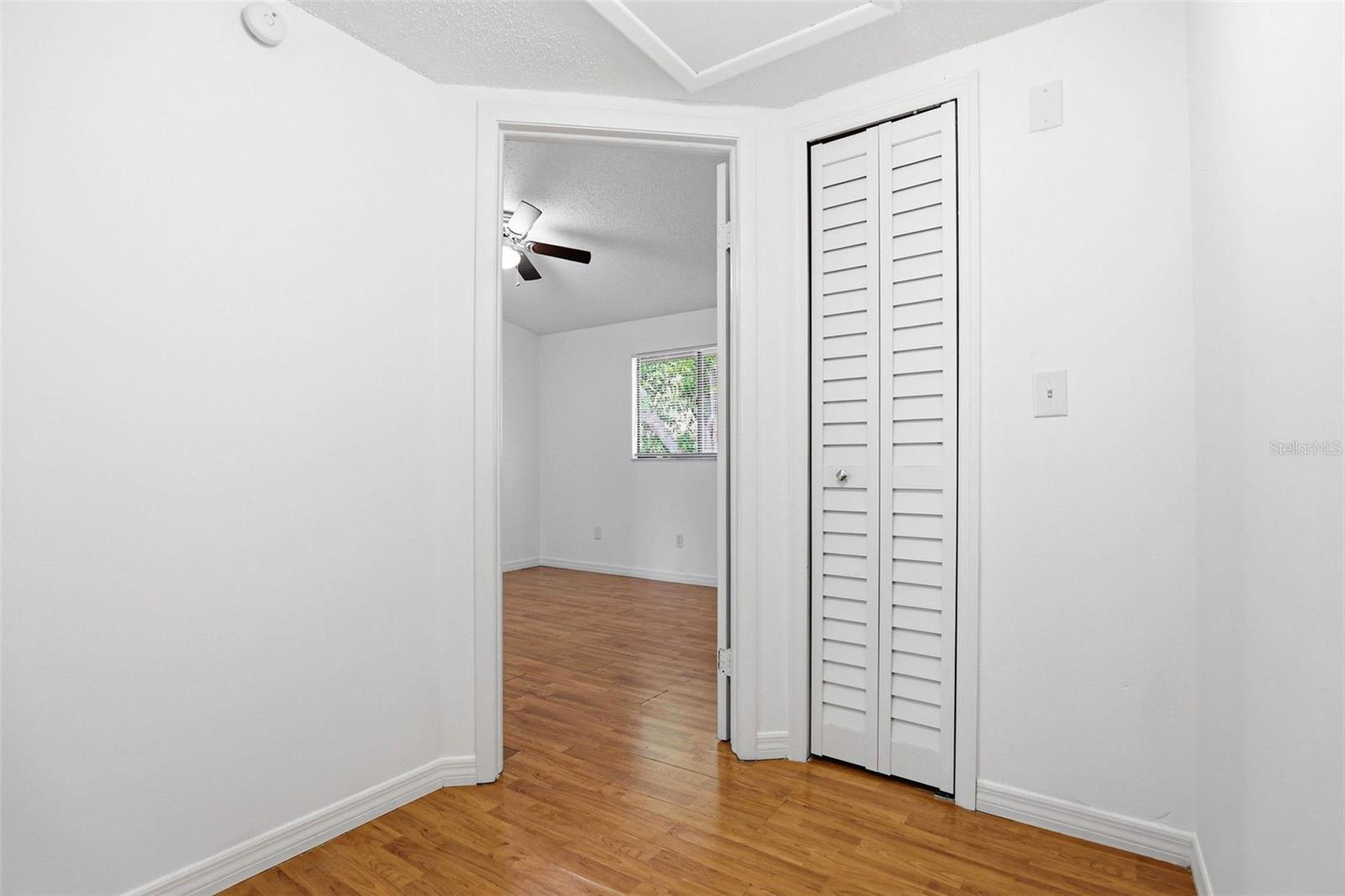 3919 PINE LIMB CT, TAMPA, FL, 33614