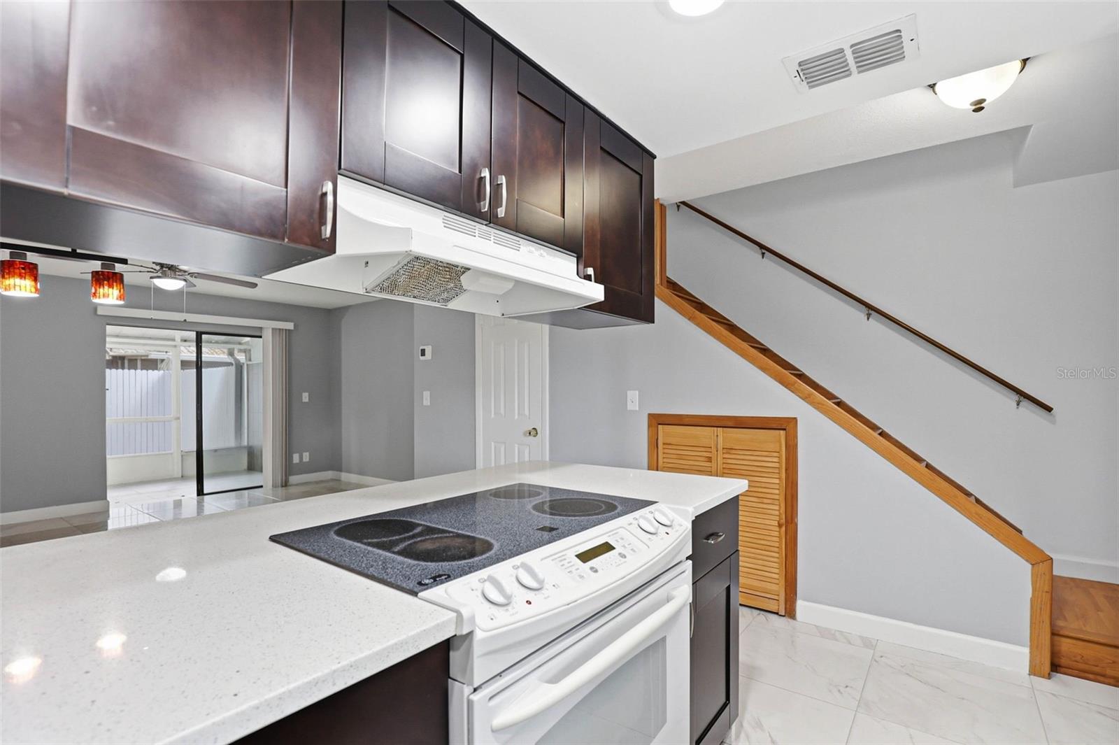 3919 PINE LIMB CT, TAMPA, FL, 33614