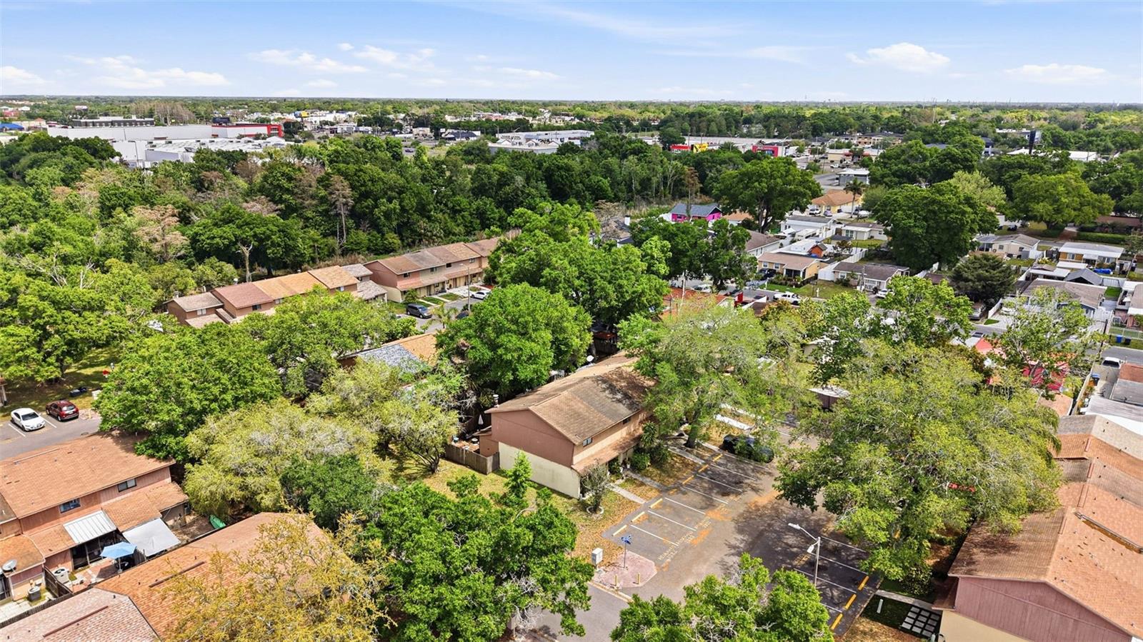 3919 PINE LIMB CT, TAMPA, FL, 33614