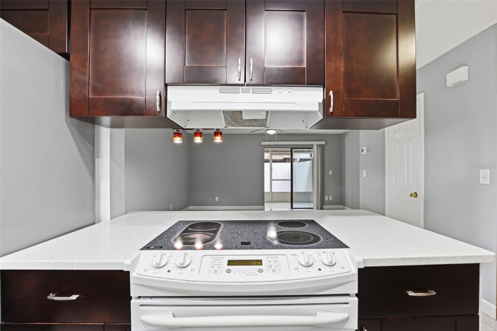 3919 PINE LIMB CT, TAMPA, FL, 33614