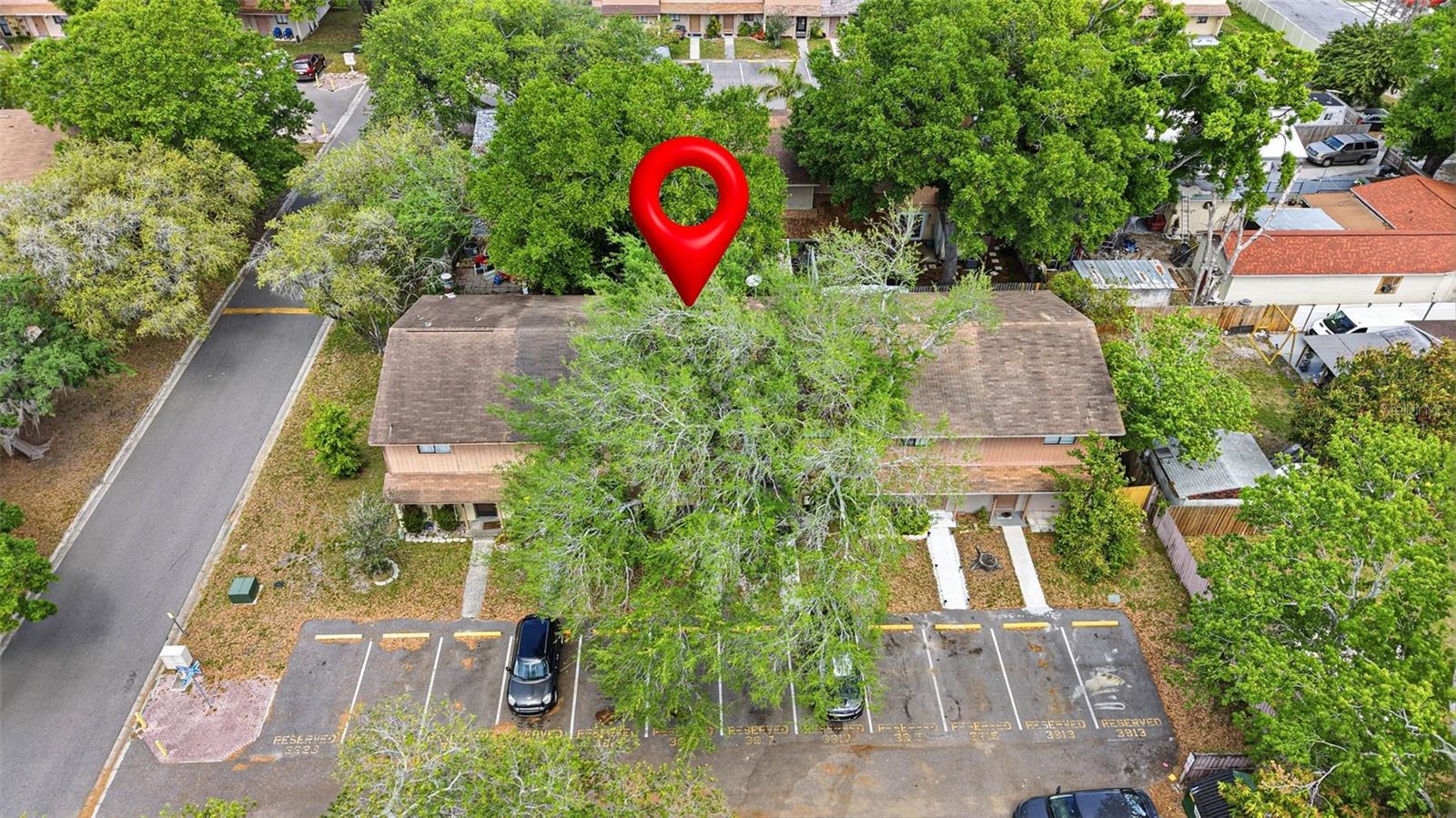 3919 PINE LIMB CT, TAMPA, FL, 33614