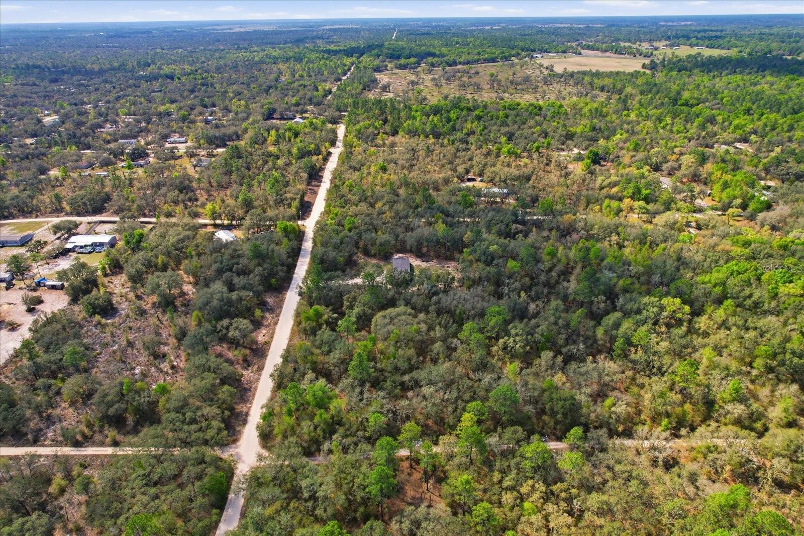 7290 NE 110TH AVE, BRONSON, FL, 32621