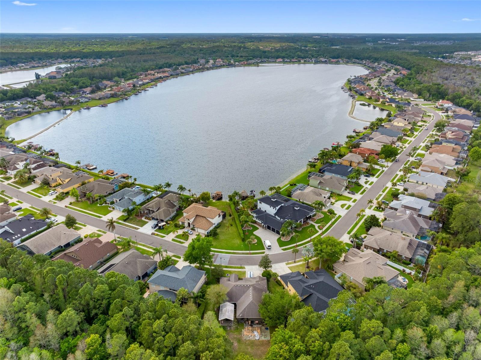 16750 IVY LAKE DR, ODESSA, FL, 33556