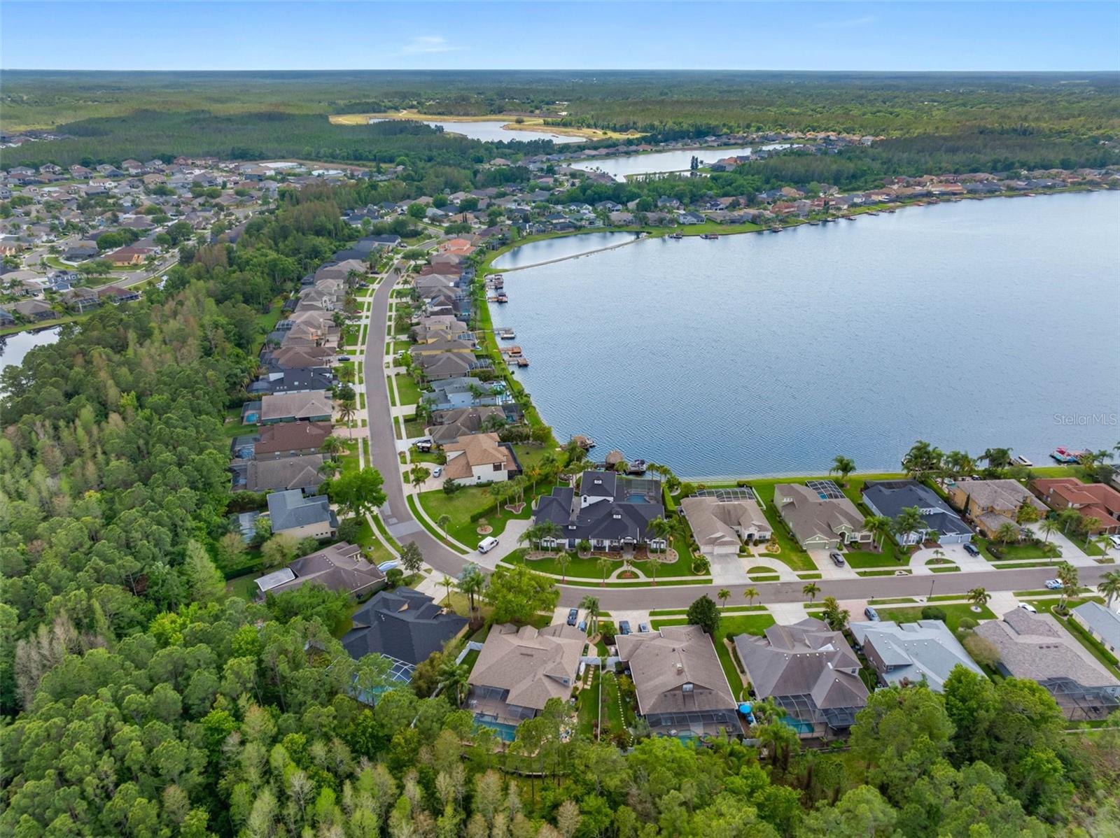 16750 IVY LAKE DR, ODESSA, FL, 33556