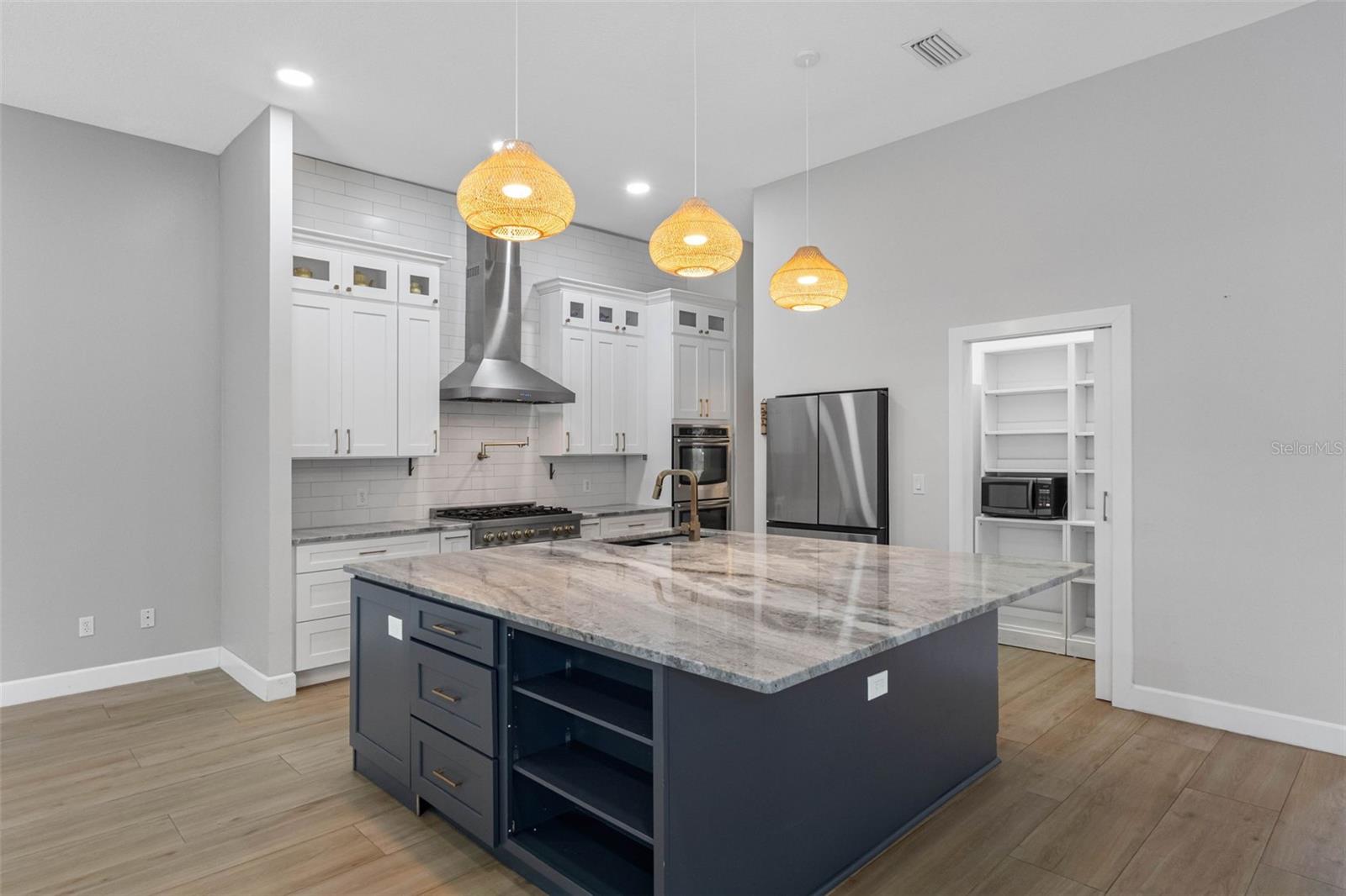 16750 IVY LAKE DR, ODESSA, FL, 33556