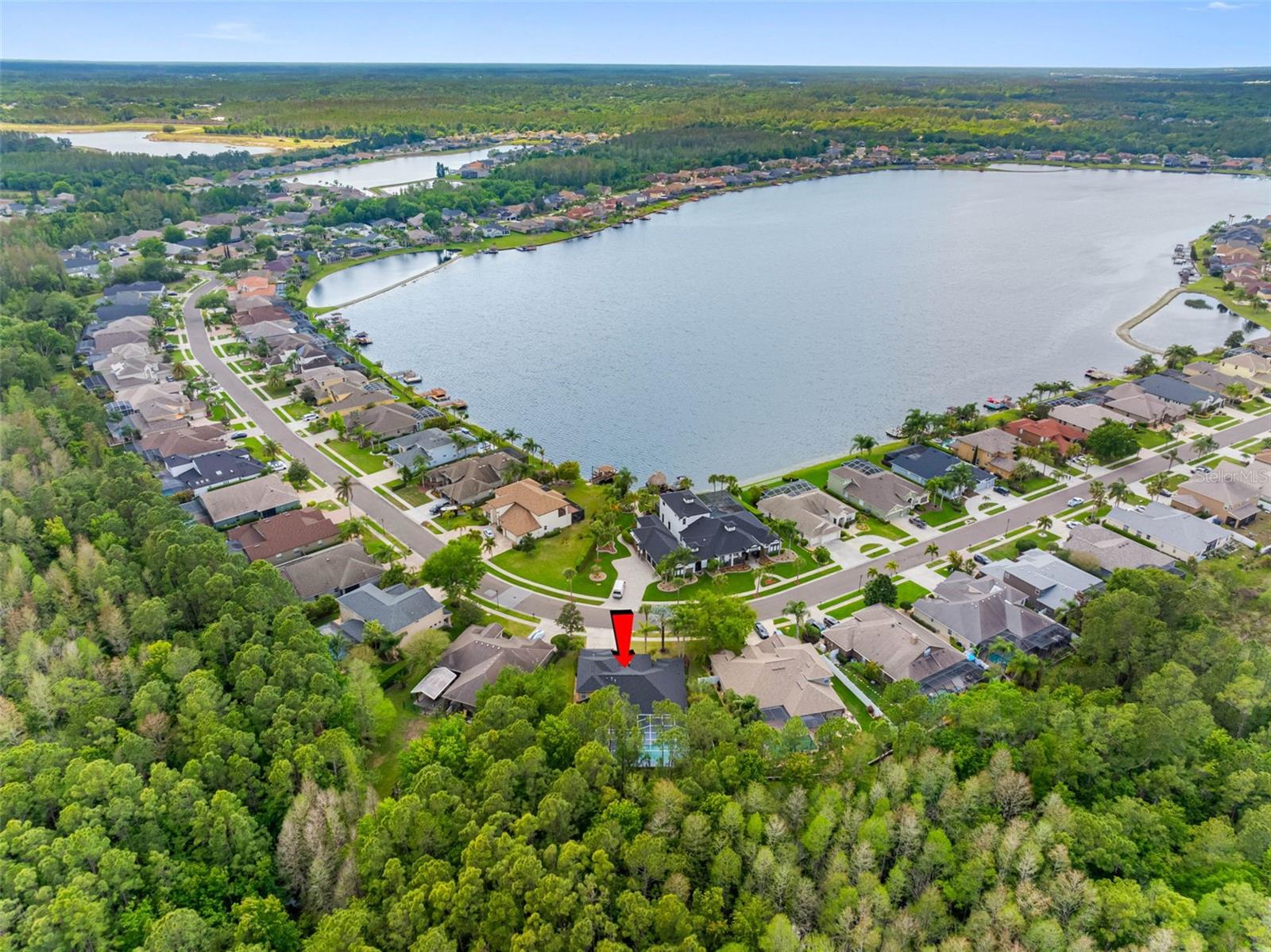 16750 IVY LAKE DR, ODESSA, FL, 33556